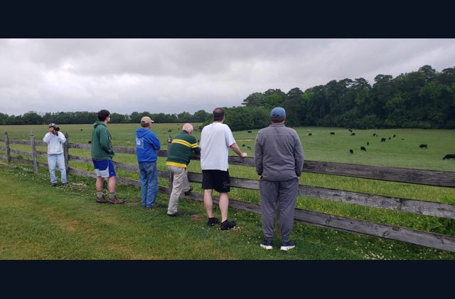 Observers on the ECSP field